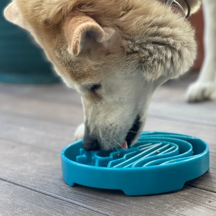 Dog sniffing a light blue shallow slow feeder bowl with raised ridges on a wooden surface.