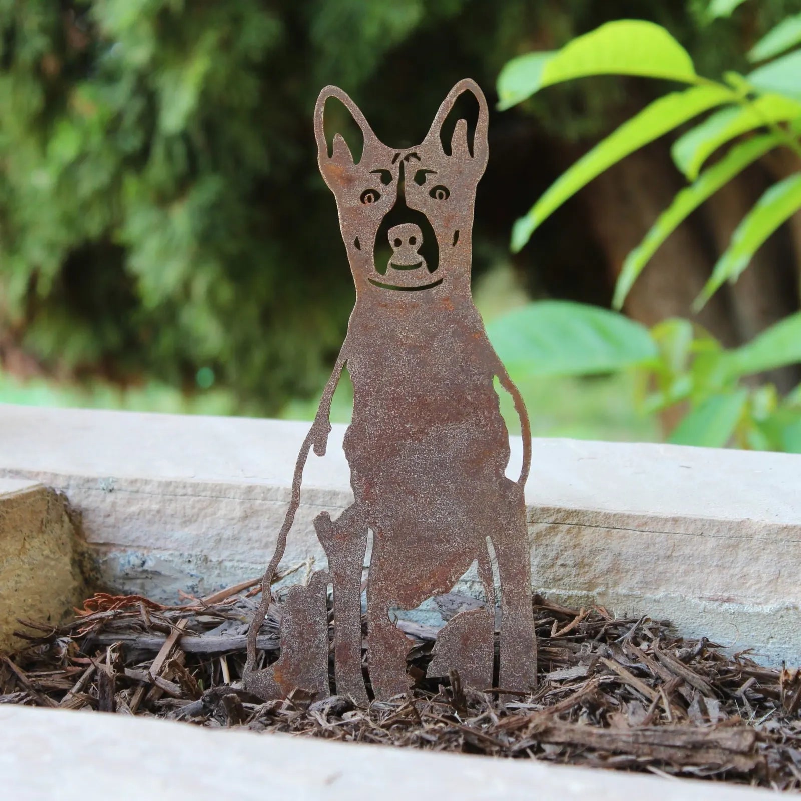 Rusty Basenji metal silhouette art standing among mulch, ideal for outdoor decor in gardens or yards.