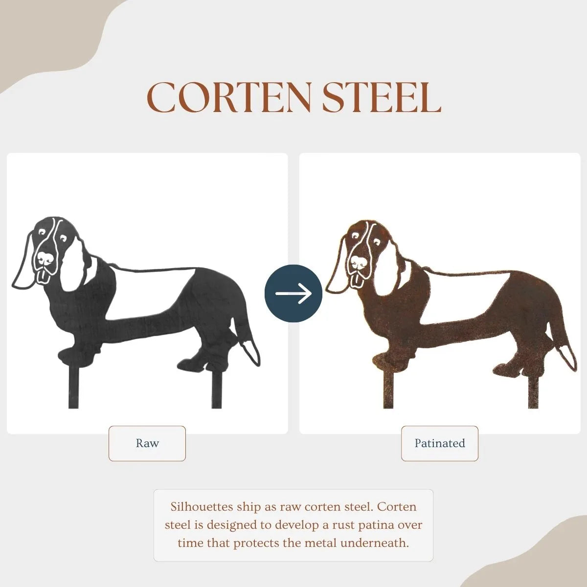Basset Hound metal silhouette in raw corten steel, showcasing a sleek design ready to develop a rustic patina.
