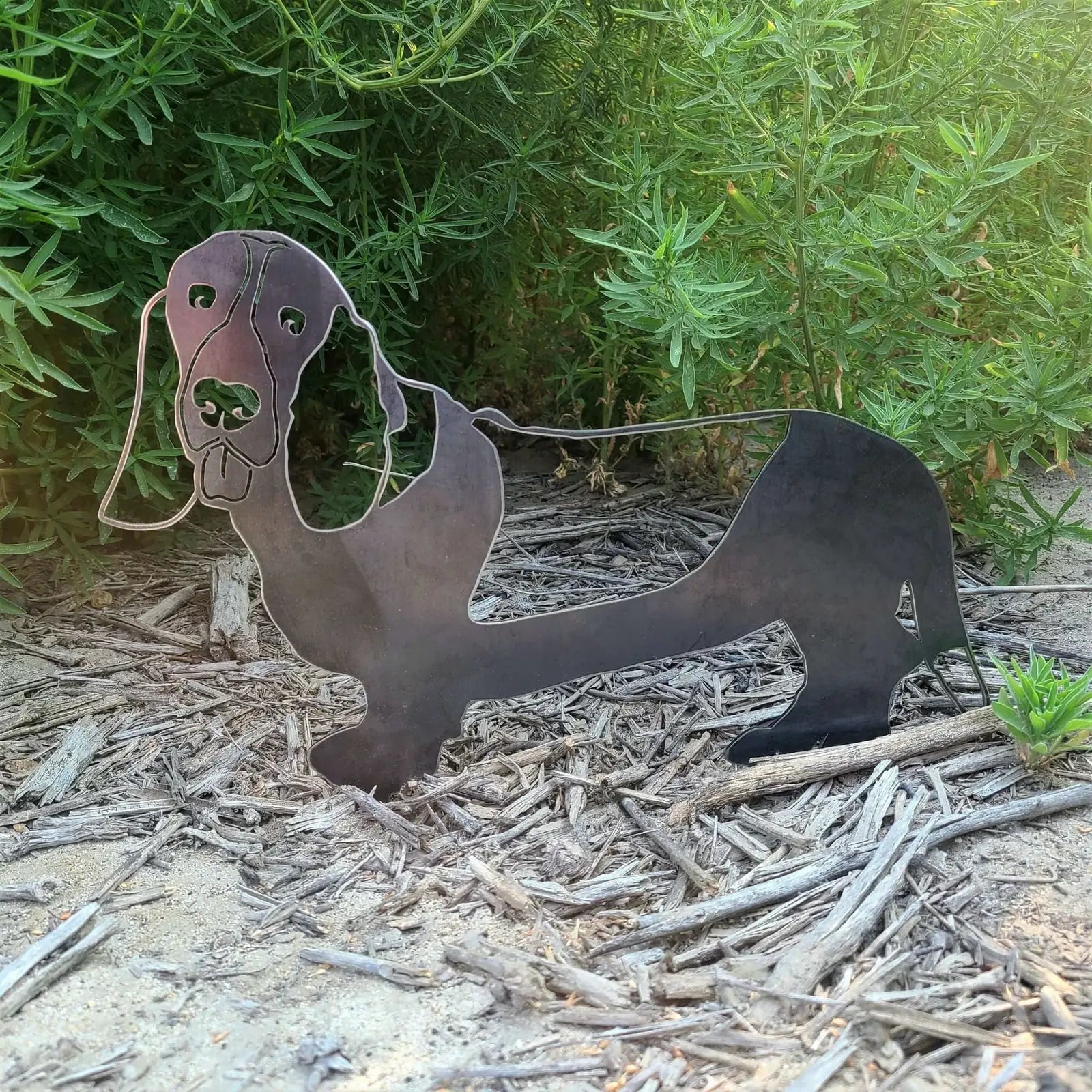Basset Hound metal silhouette in matte black, nestled in garden foliage on mulch ground, showcasing detailed cutout design.