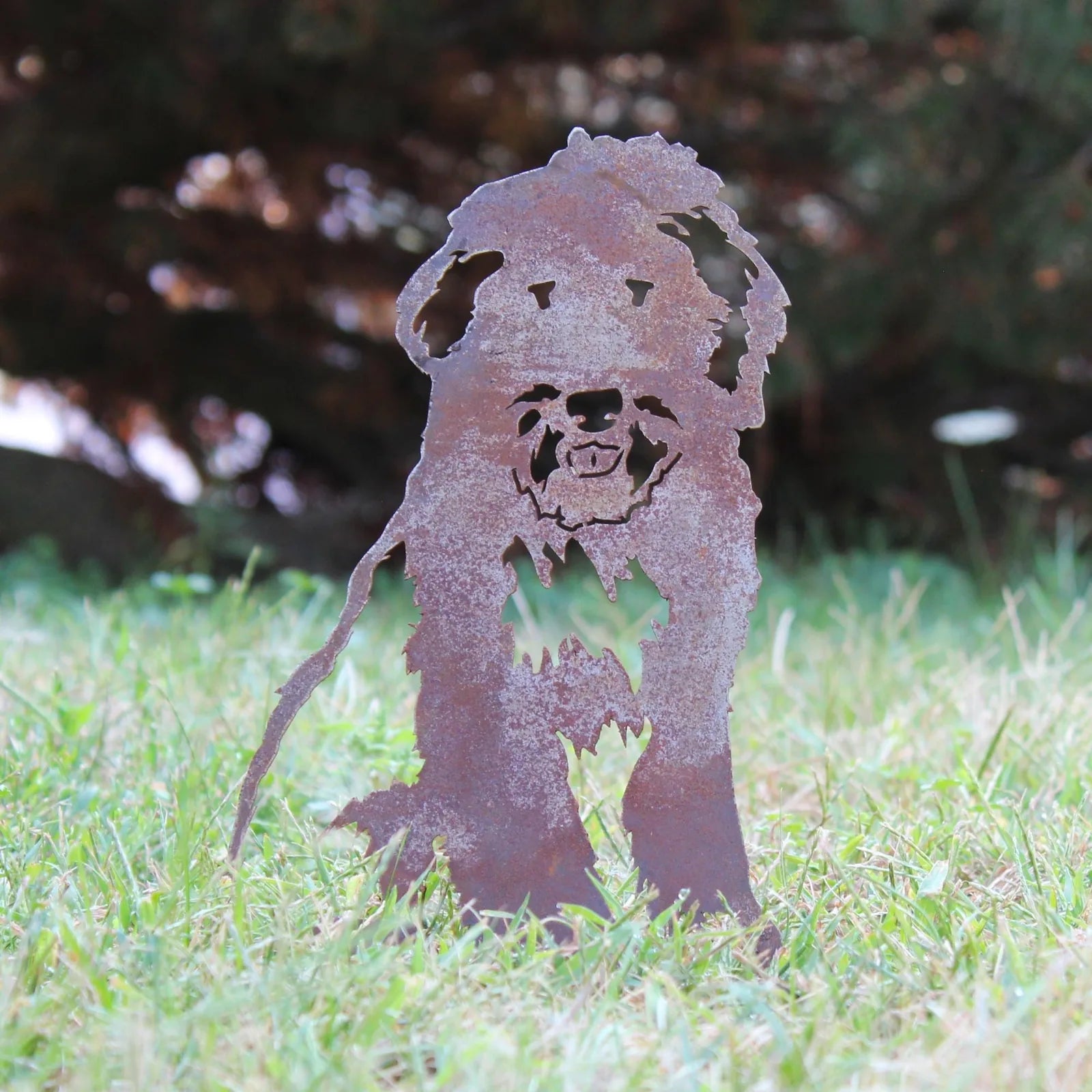 Bearded Collie metal silhouette in rusty Corten steel, standing on grass, adds rustic charm to outdoor decor.