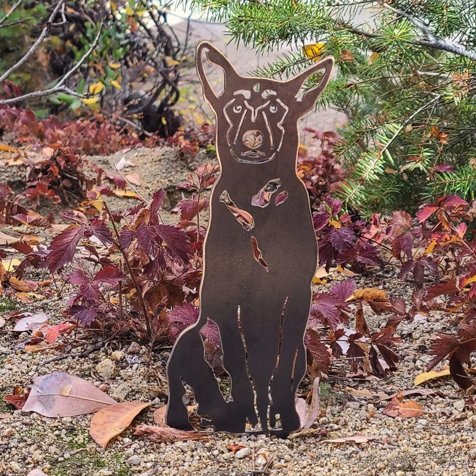 Belgian Malinois metal silhouette in rust-colored Corten steel, elegantly displayed among autumn leaves and greenery.