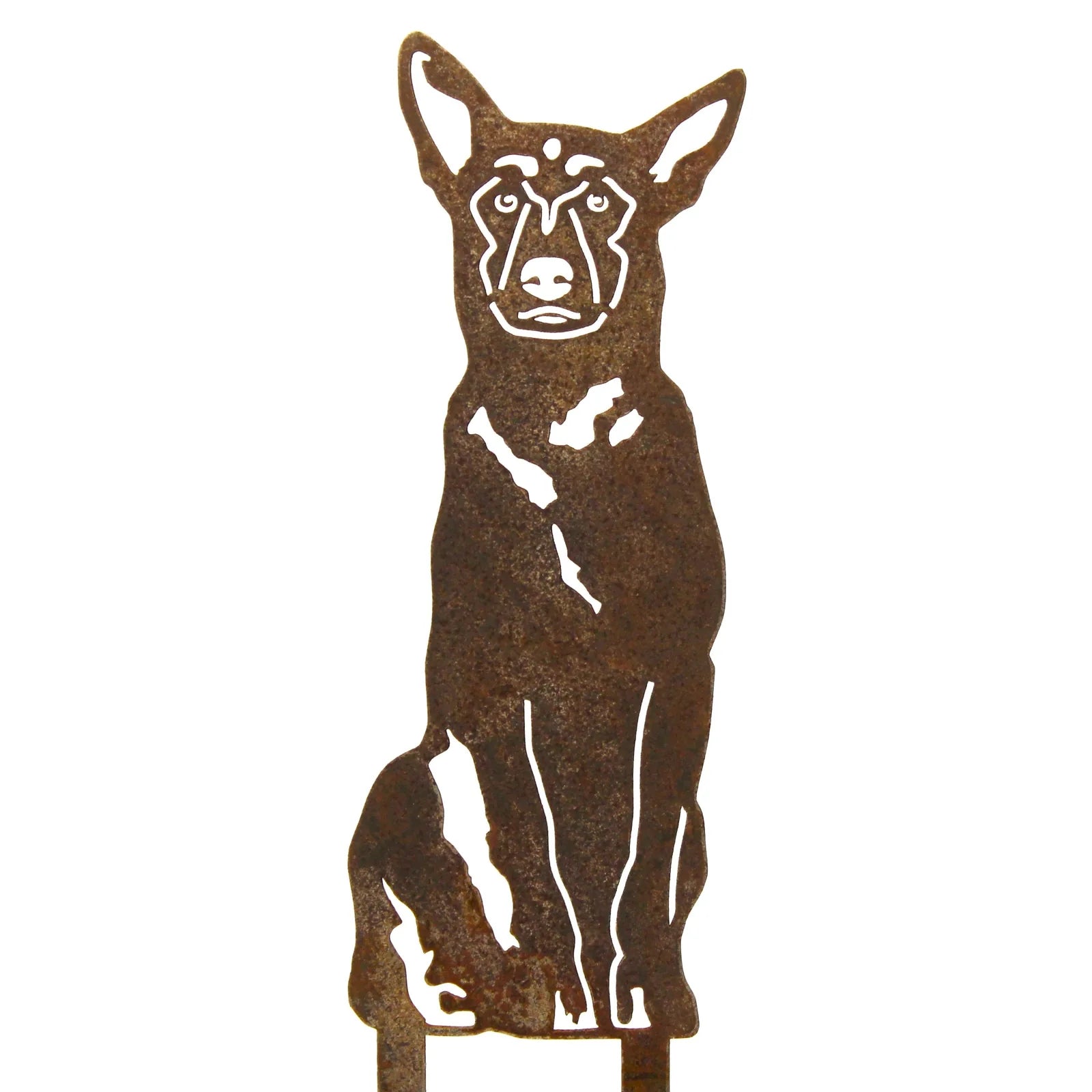 Rusty Belgian Malinois metal silhouette, showcasing the breed's distinct features, perfect for outdoor or indoor decor.