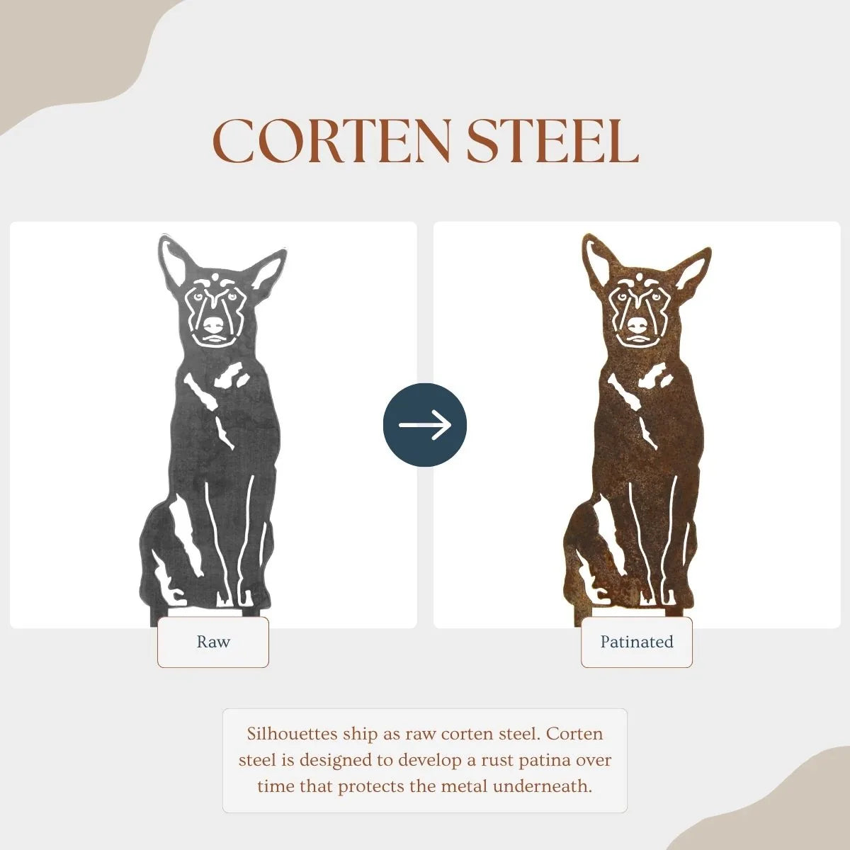 Belgian Malinois metal silhouette showcasing raw corten steel on the left and a rust patina on the right.