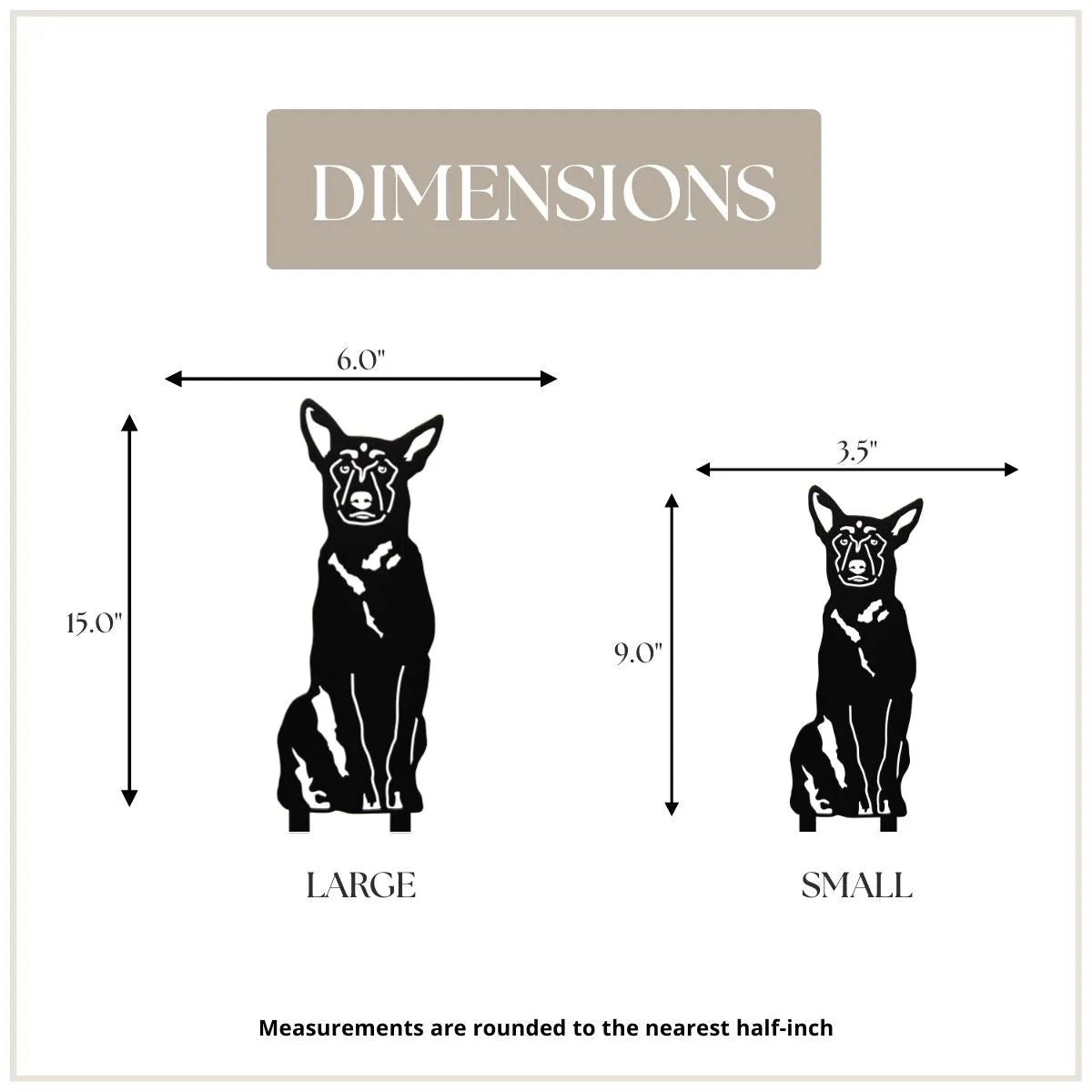 Dimensions for large and small Belgian Malinois silhouettes in black, showcasing height and width measurements.