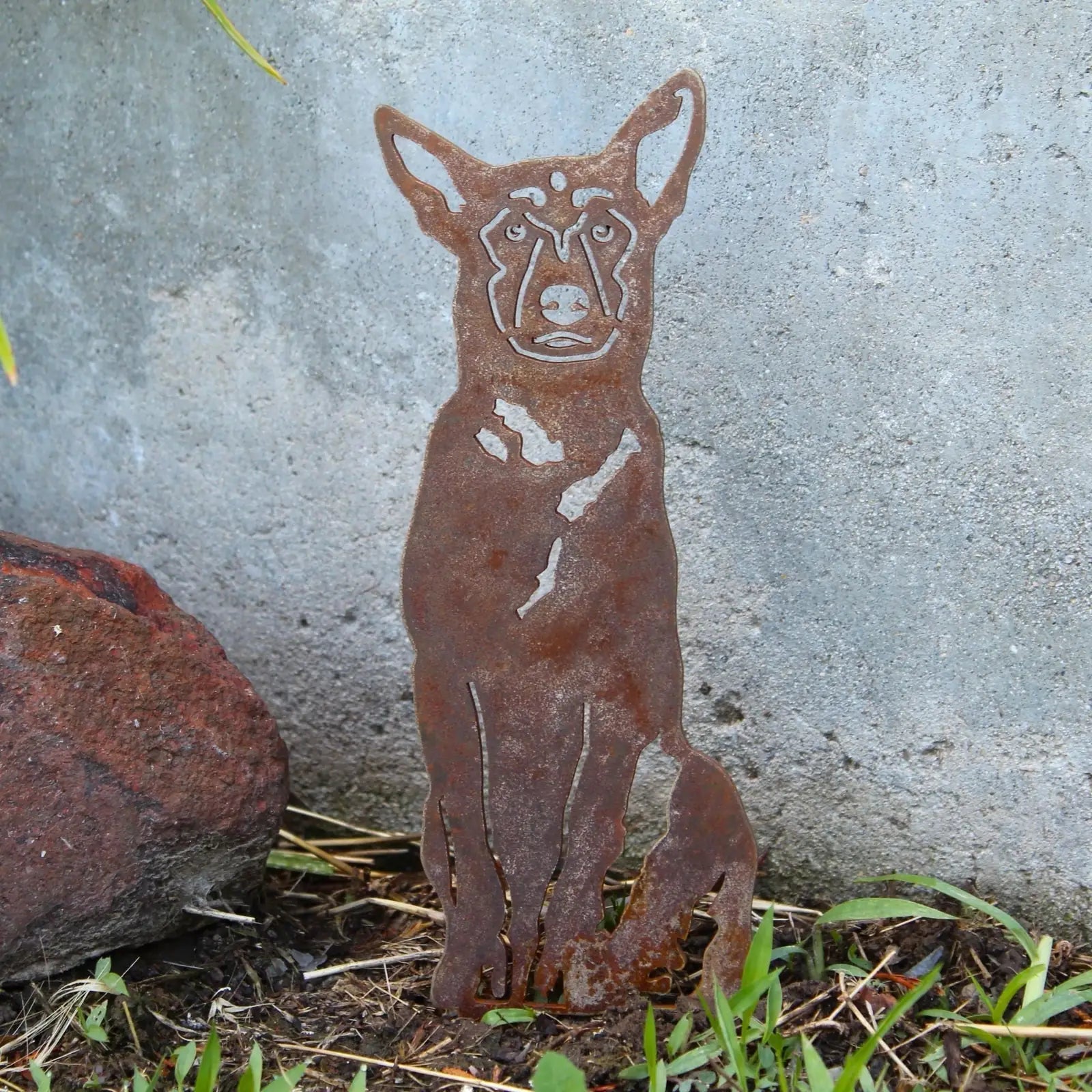Rusty Belgian Malinois metal silhouette stands on grass near a concrete wall, showcasing detailed cut-outs and natural pat...