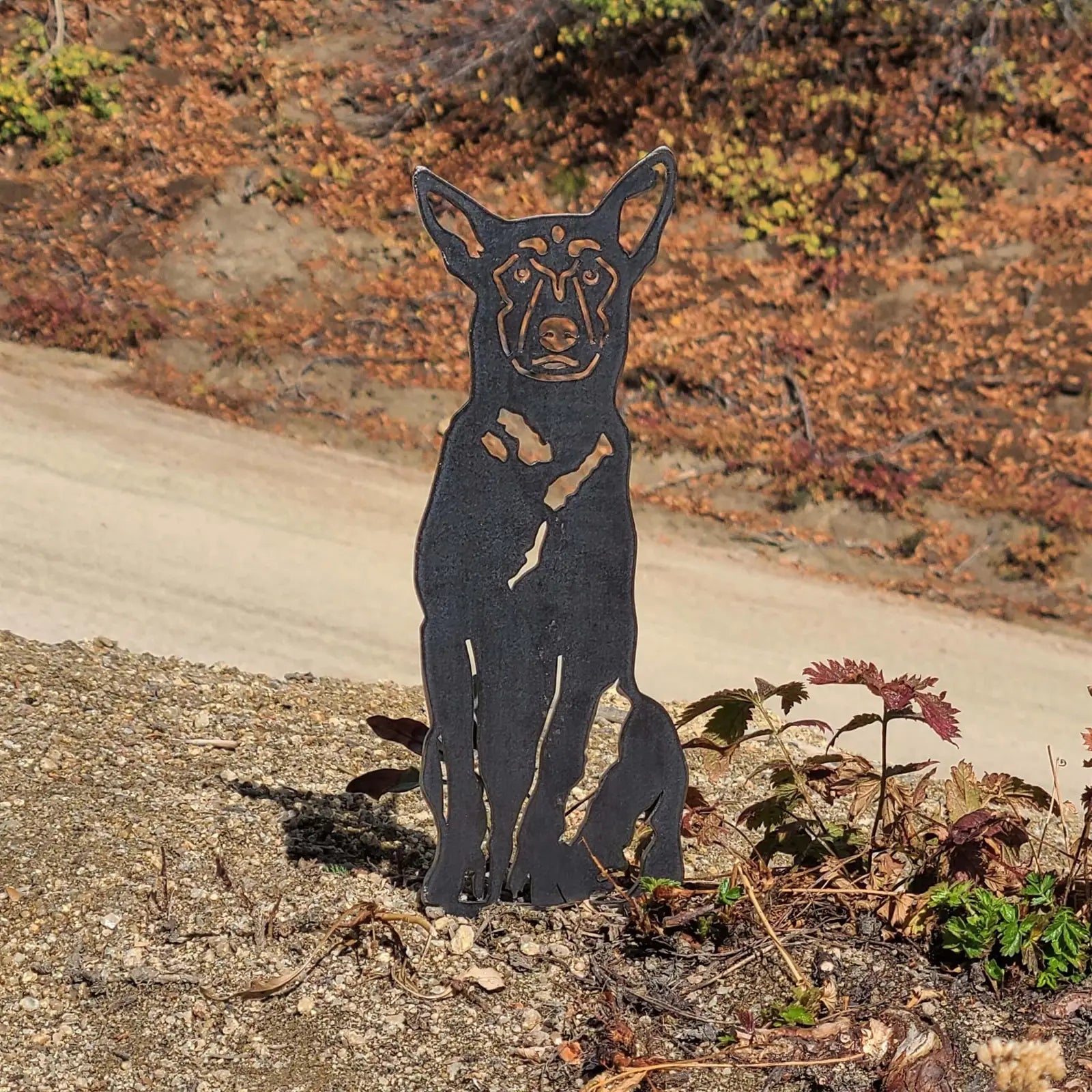 Handcrafted black metal silhouette of a Belgian Malinois sitting, surrounded by greenery and autumn leaves.