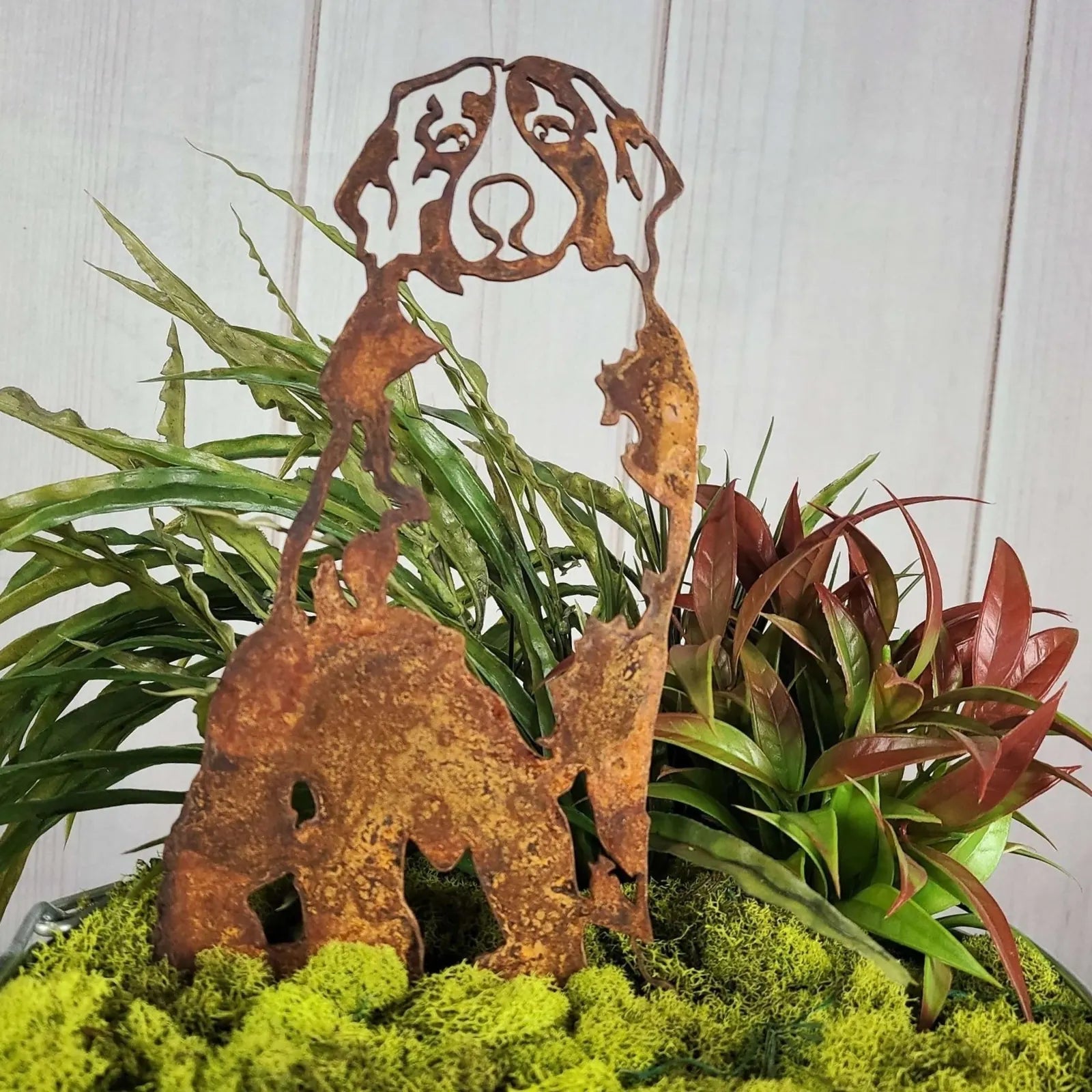 Corten steel silhouette of a Bernese Mountain Dog surrounded by green moss and lush plants.