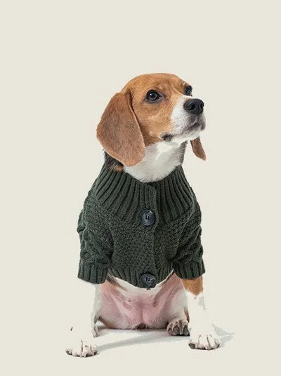 Dark green cardigan sweater on a beagle, featuring a ribbed design and two black buttons, perfect for cooler days.