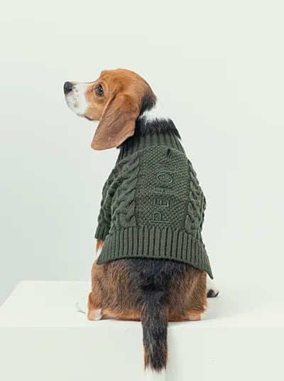 Cozy dark green Bert Cardigan Sweater on a beagle, featuring braided texture and embroidered PEHOM logo.