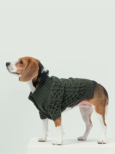 Dark green dog sweater with cable knit design, snug fit, and high collar, styled on a beagle.