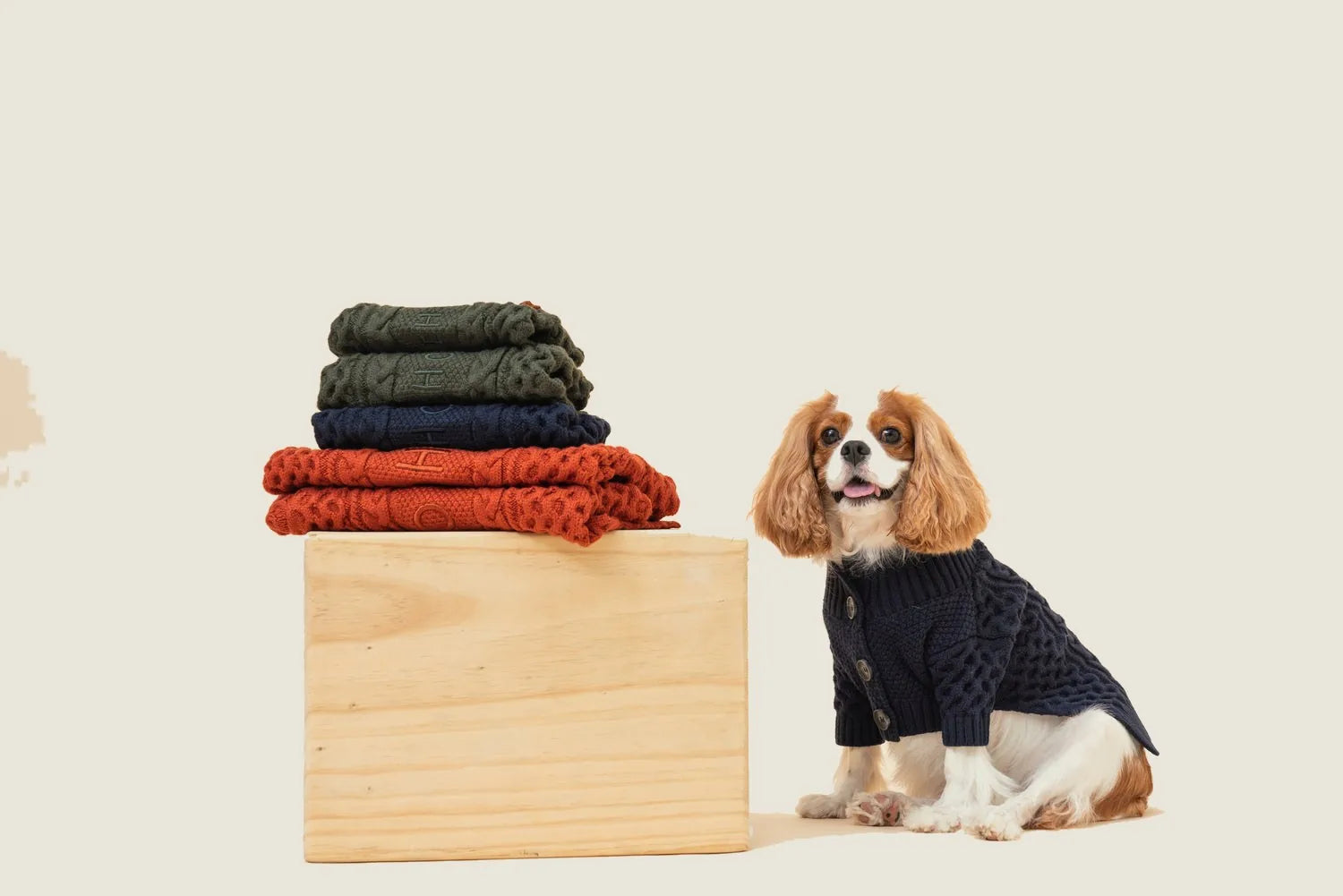 A small dog wearing a dark green cardigan sweater sits beside stacked sweaters in various colors on a wooden box.