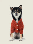 BERT CARDIGAN SWEATER - ORANGE