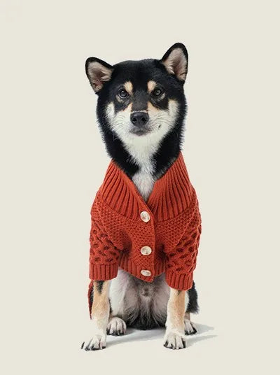 Cozy orange cardigan sweater for dogs featuring a button front and textured knit design, perfect for chilly days.