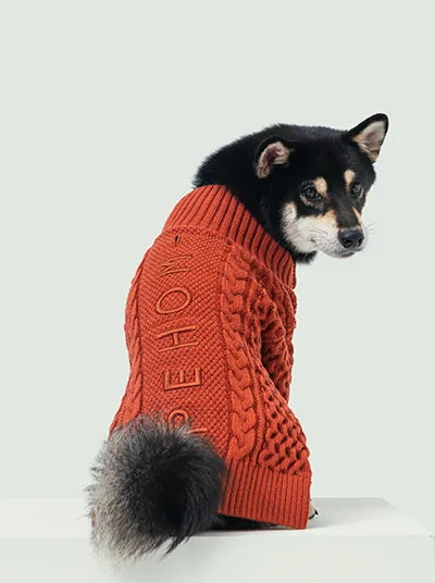 Cozy orange Bert Cardigan Sweater for dogs, featuring a thick knit design and embroidered PEHOM logo.