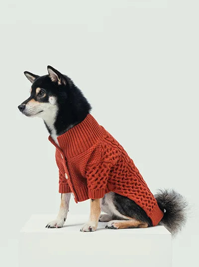 Cozy orange cardigan sweater on a dog, featuring a knitted texture and a stylish collar design.