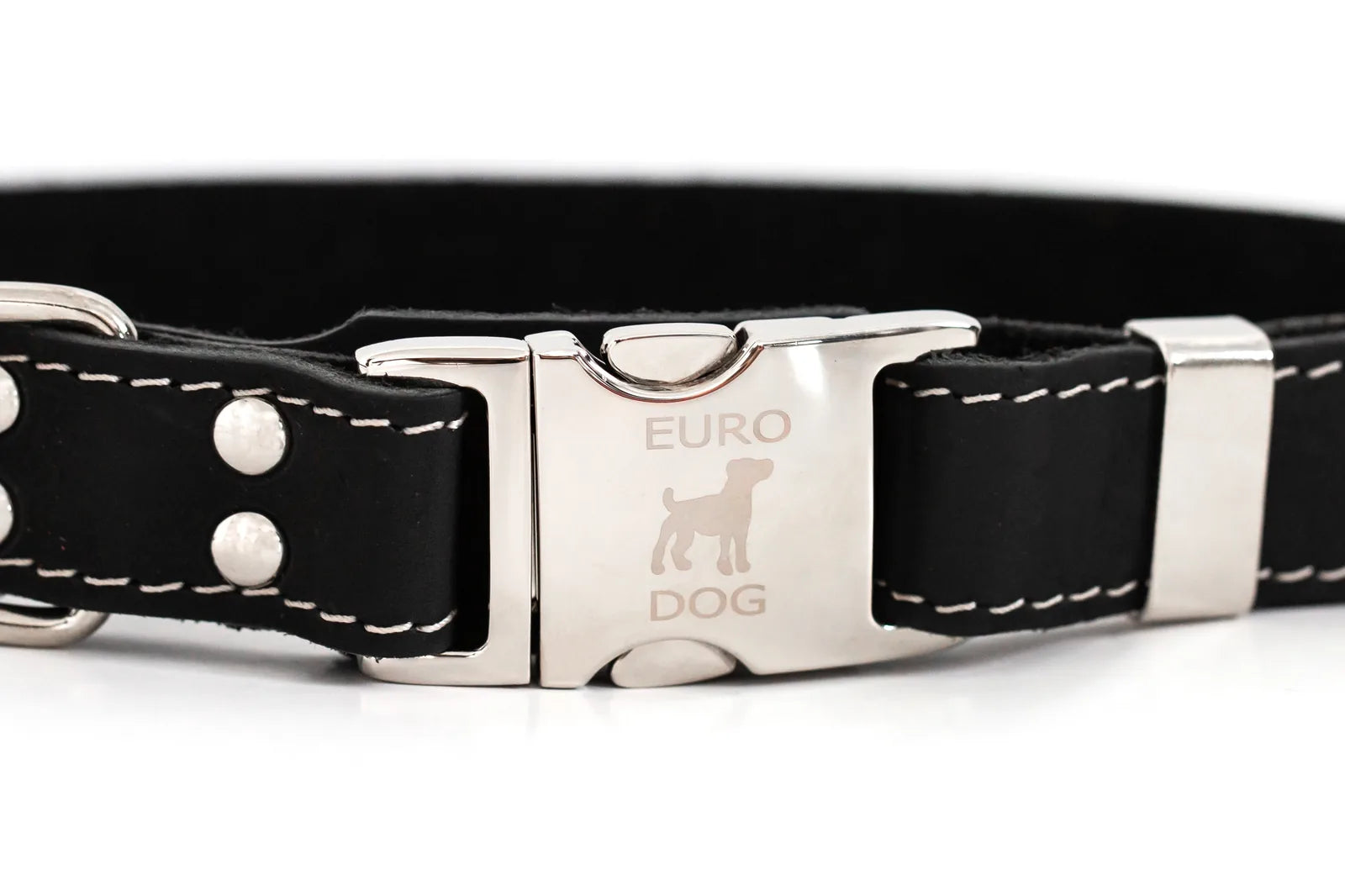 Midnight black leather dog collar featuring a metal buckle and silver rivets, showcasing the "EURO DOG" logo.