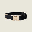 'Black' Canvas Dog Collar by FURLOU