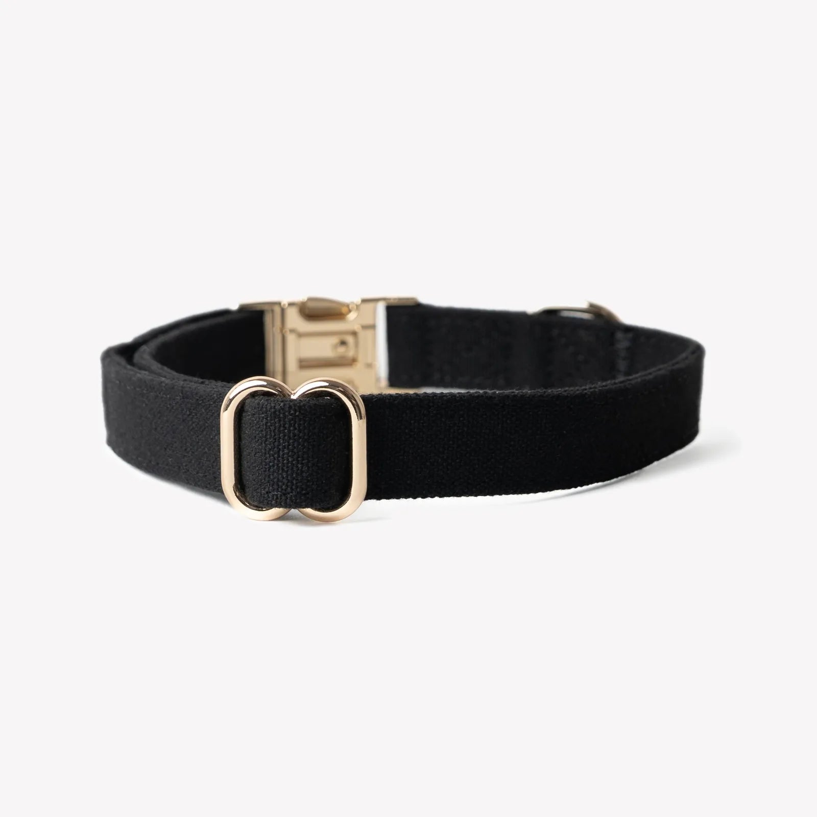 Stylish black canvas dog collar featuring gold hardware, designed for comfort and everyday wear.