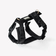 Black - Comfort Dog Harness by FURLOU