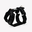 'Black' - Sherpa Dog Harness by FURLOU