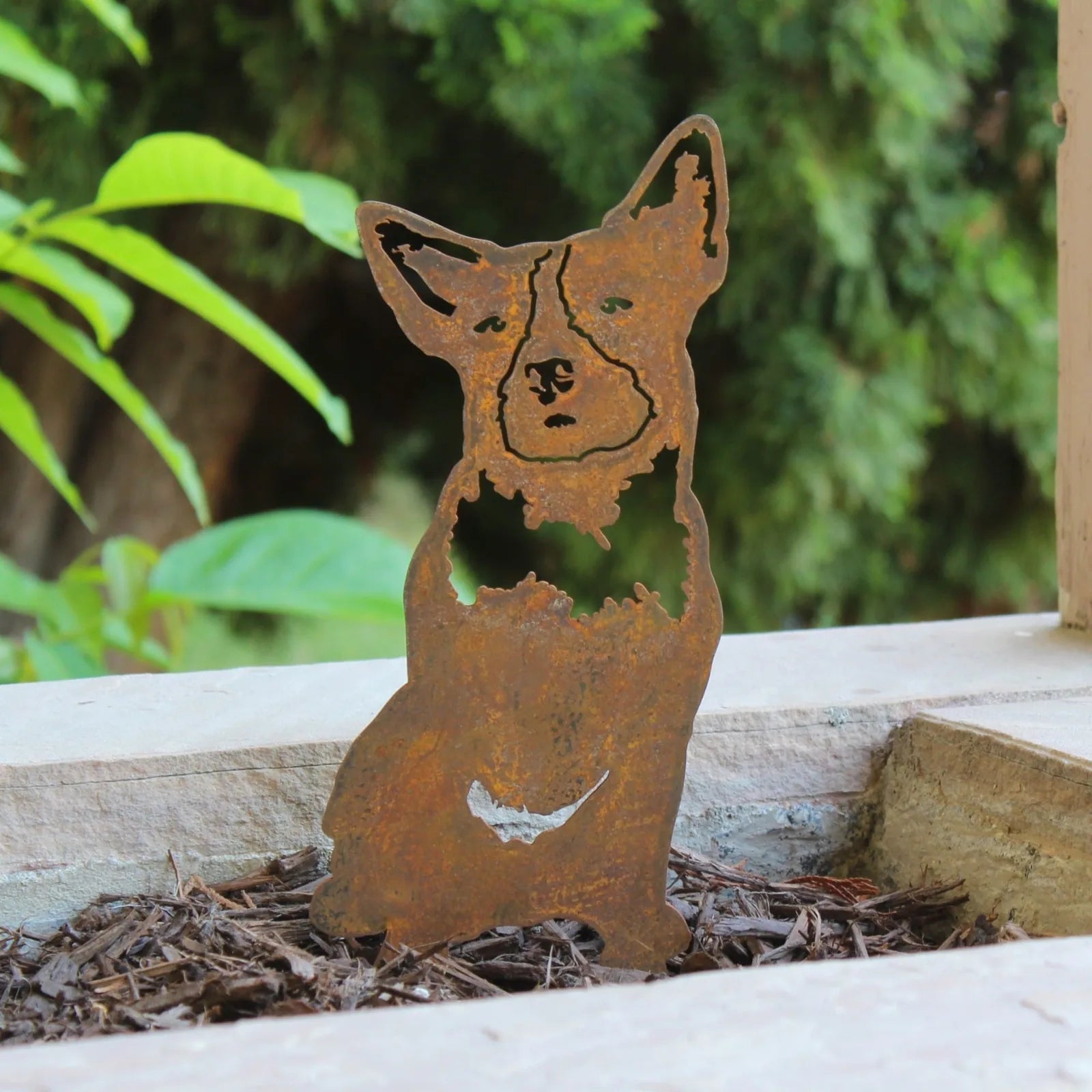 Rusty Blue Heeler metal silhouette art piece set in mulch, surrounded by greenery, highlighting its rustic charm.
