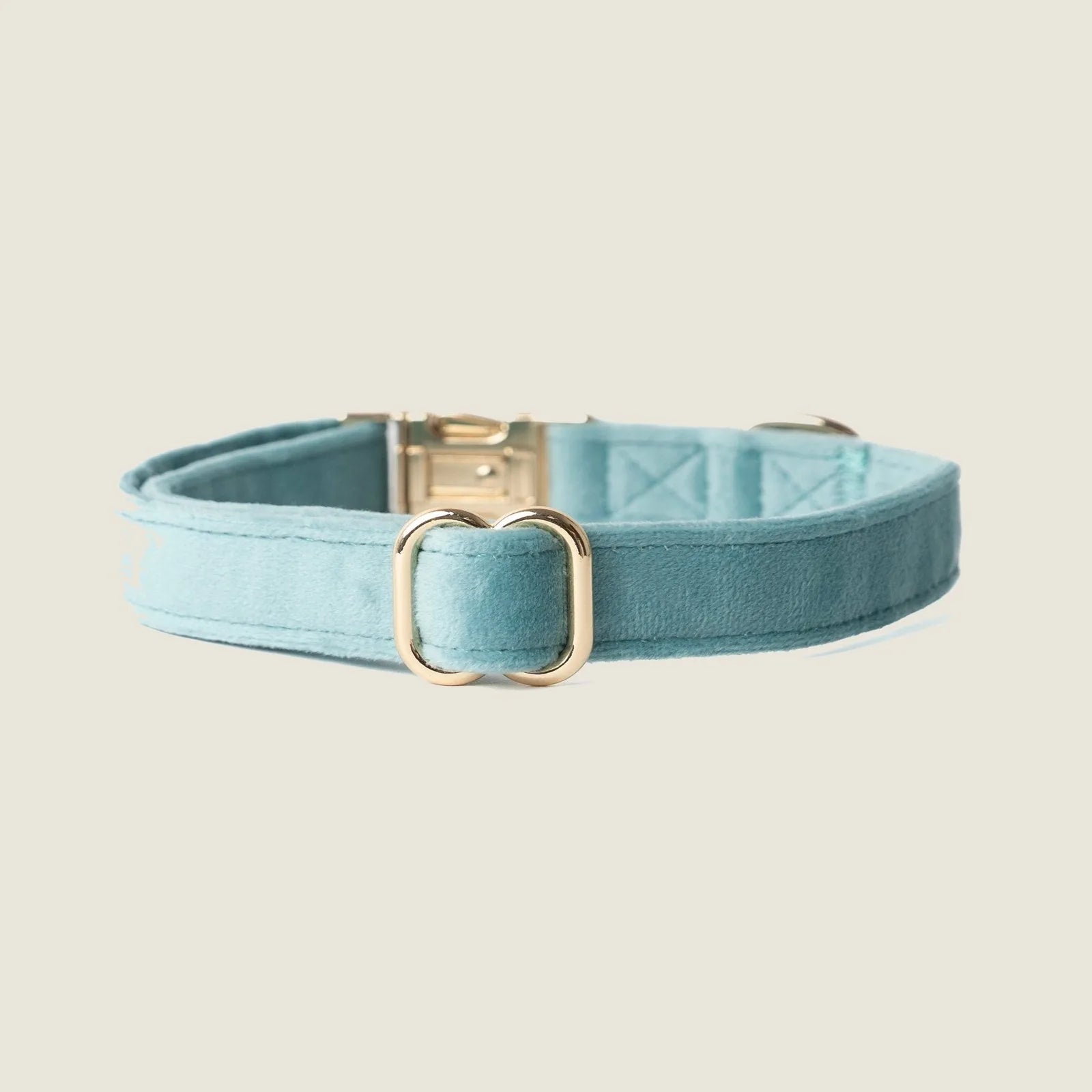 Light blue velvet dog collar featuring gold hardware, designed for comfort and style in sizes small to large.
