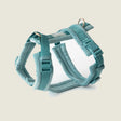 Blue - Velvet Dog Harness by FURLOU