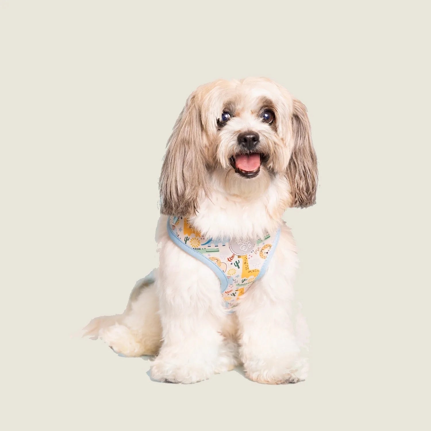 Happy, fluffy dog wearing a colorful Boho Baby Adjustable Harness with animal and cactus patterns.