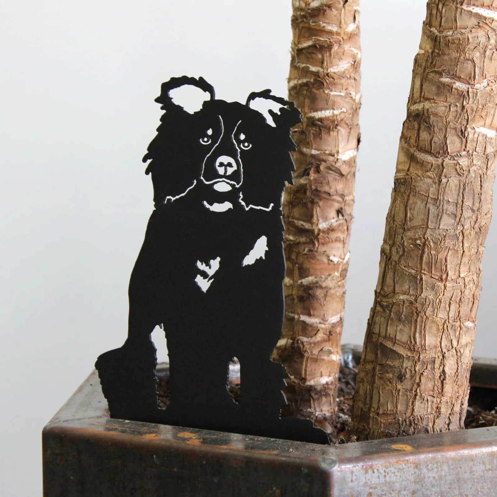 Black metal silhouette of a Border Collie sitting next to textured tree trunks in a planter.