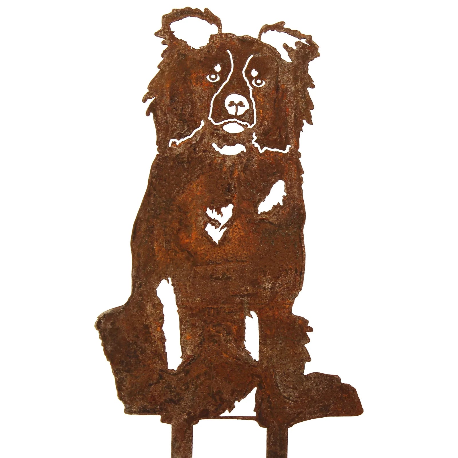 Rusty Corten steel silhouette of a Border Collie, showing intricate details and positioned for garden decor.