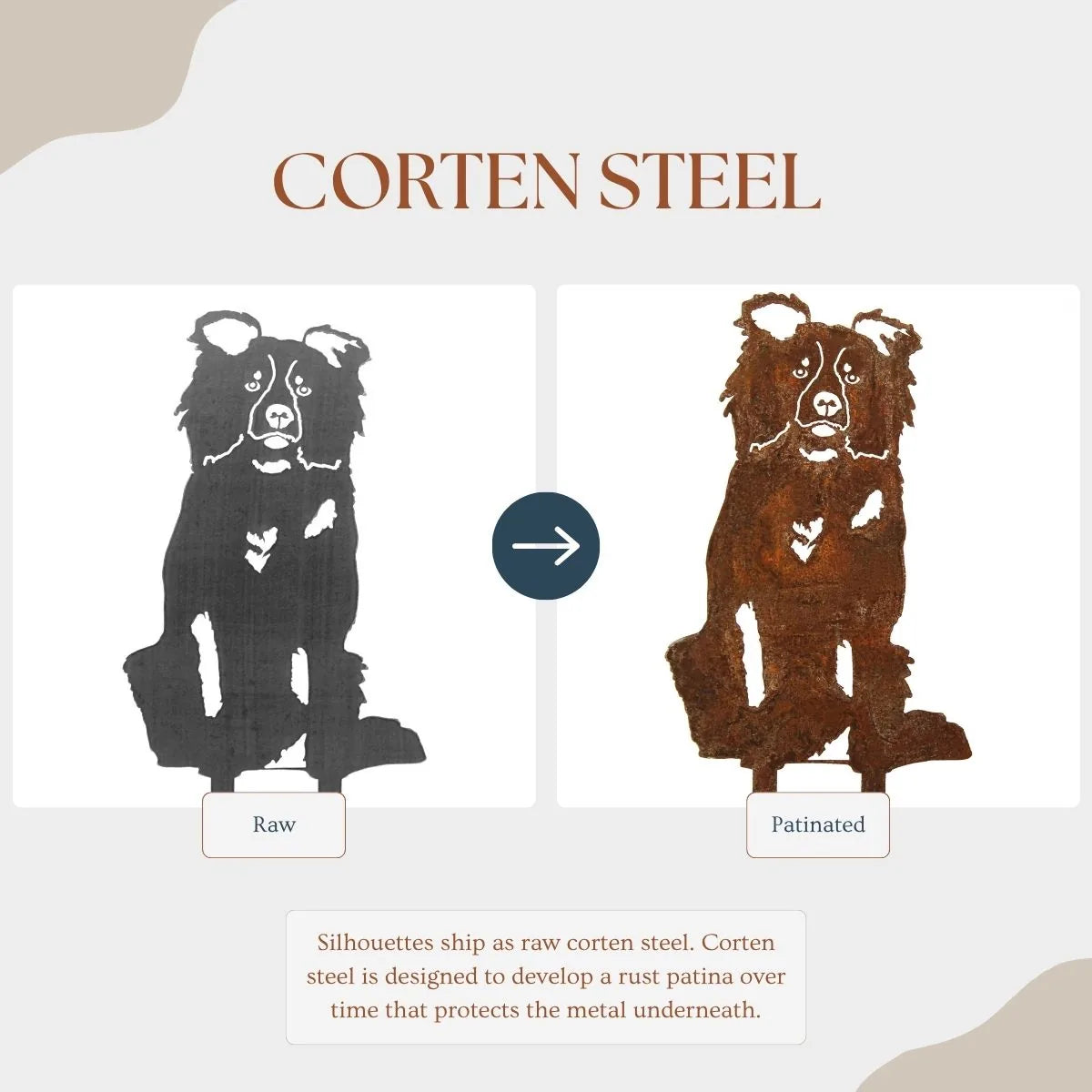 Border Collie silhouette in raw and patinated corten steel, showcasing details and color changes over time.