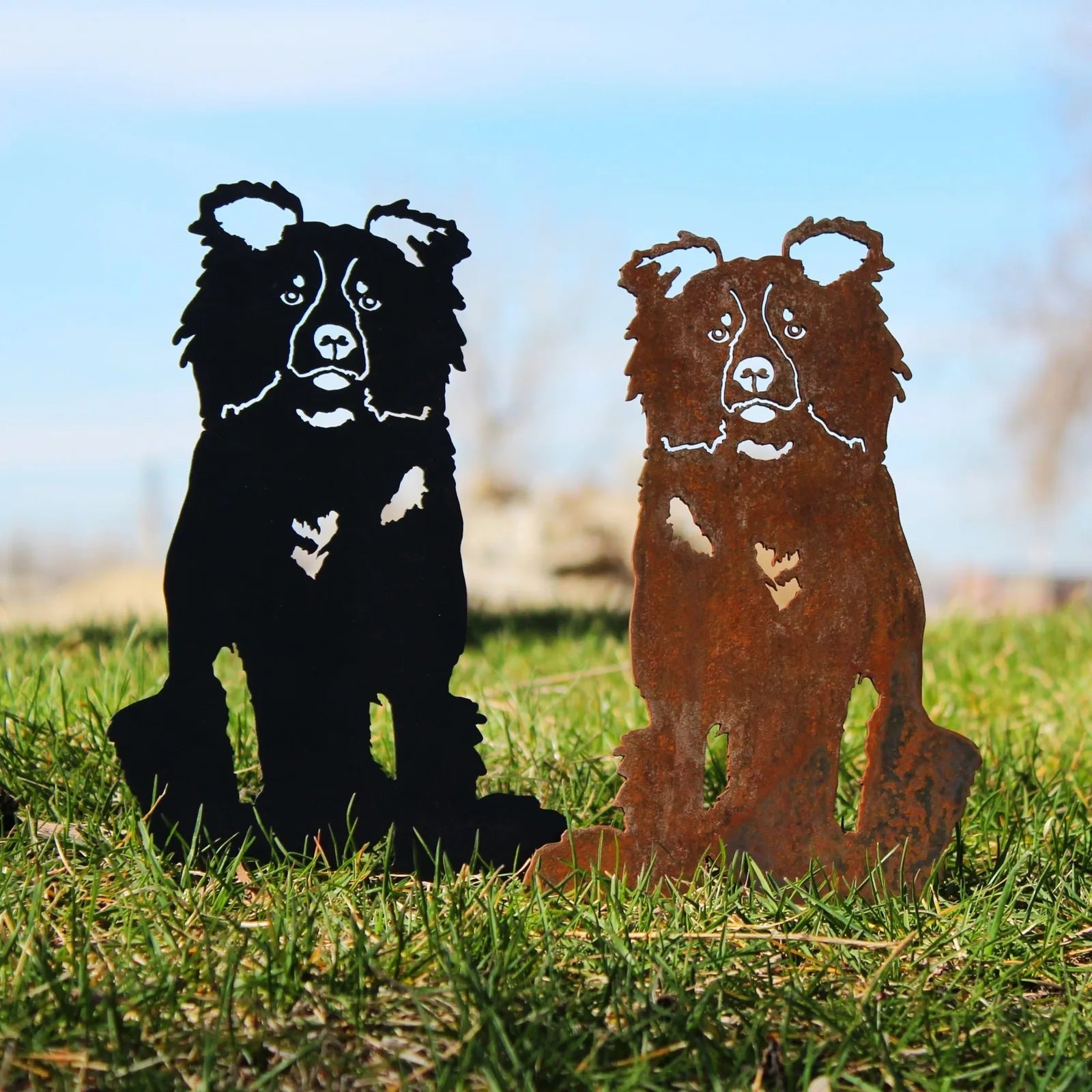 Border Collie metal silhouette in black and rust patina, showcasing intricate details in sturdy weathering steel, set on g...