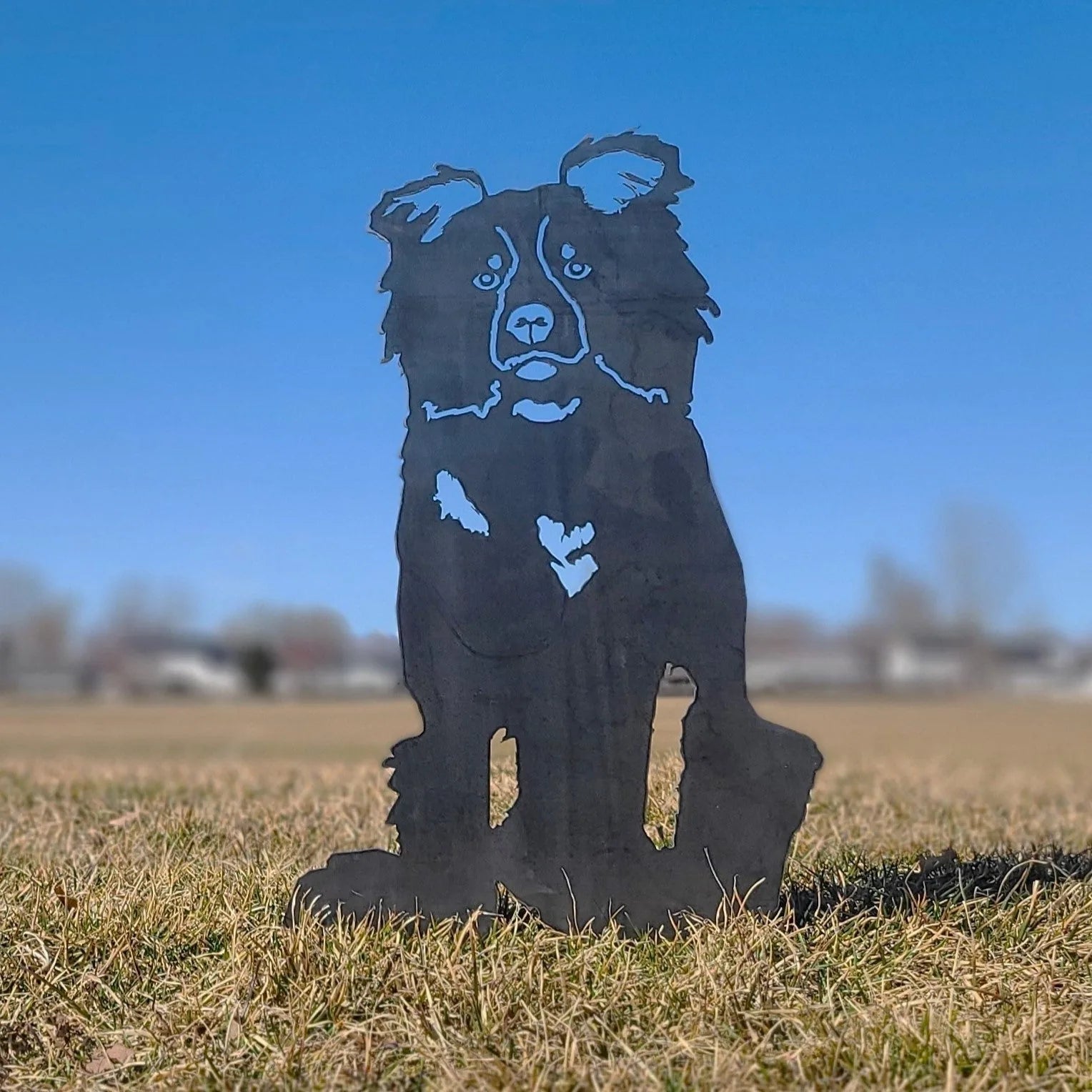 Black metal silhouette of a Border Collie standing on grass against a clear blue sky, ideal for outdoor decor.