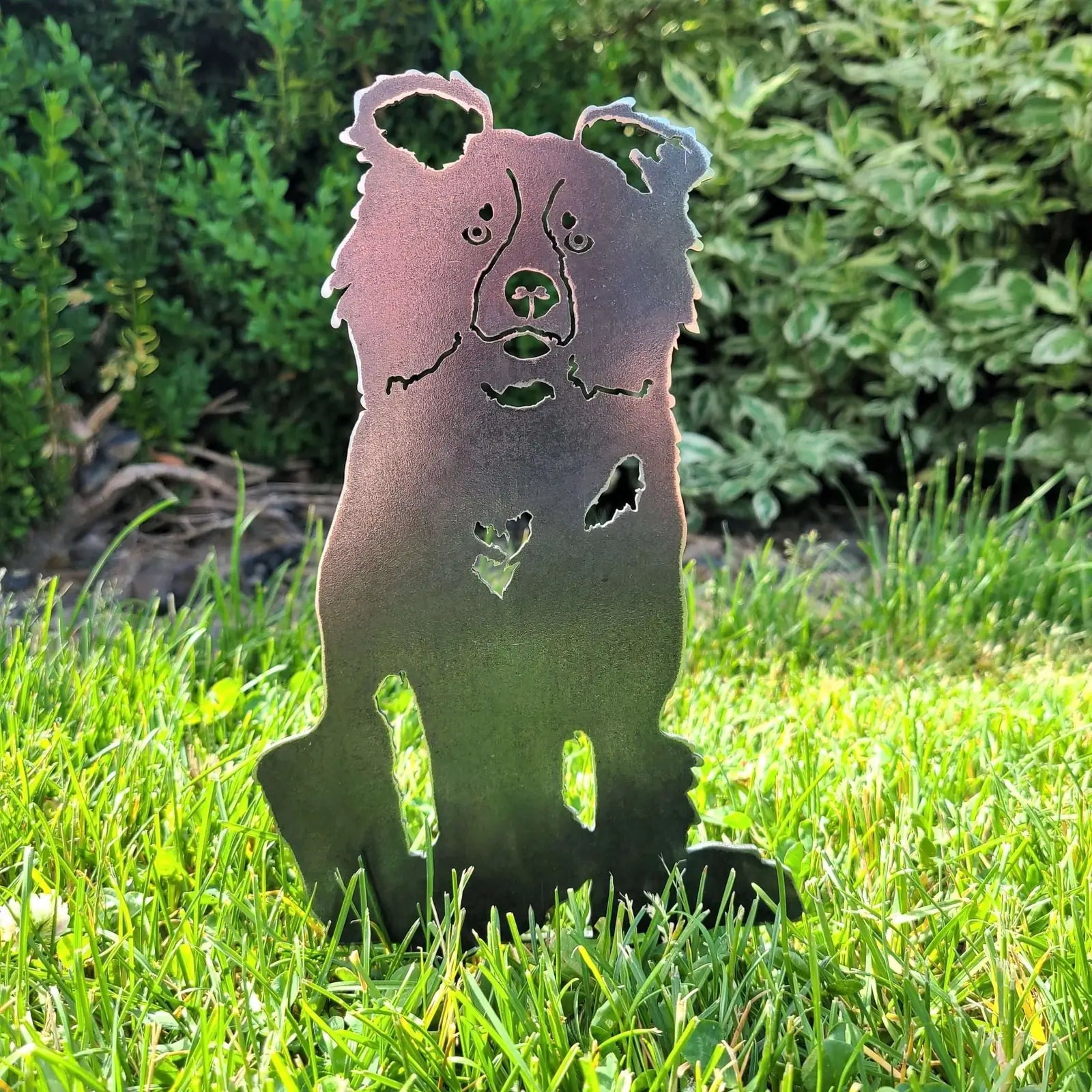 Border Collie metal silhouette in Corten steel, showcasing detailed design, standing on grass with greenery in the backgro...
