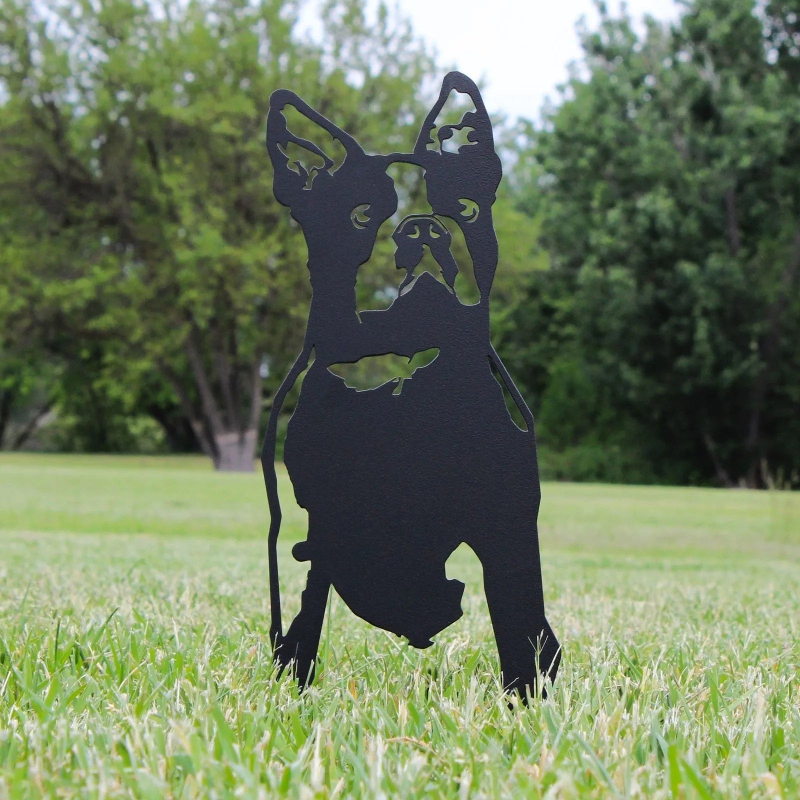 Black metal silhouette of a Boston Terrier displayed in a grassy outdoor setting, showcasing its distinctive shape and fea...