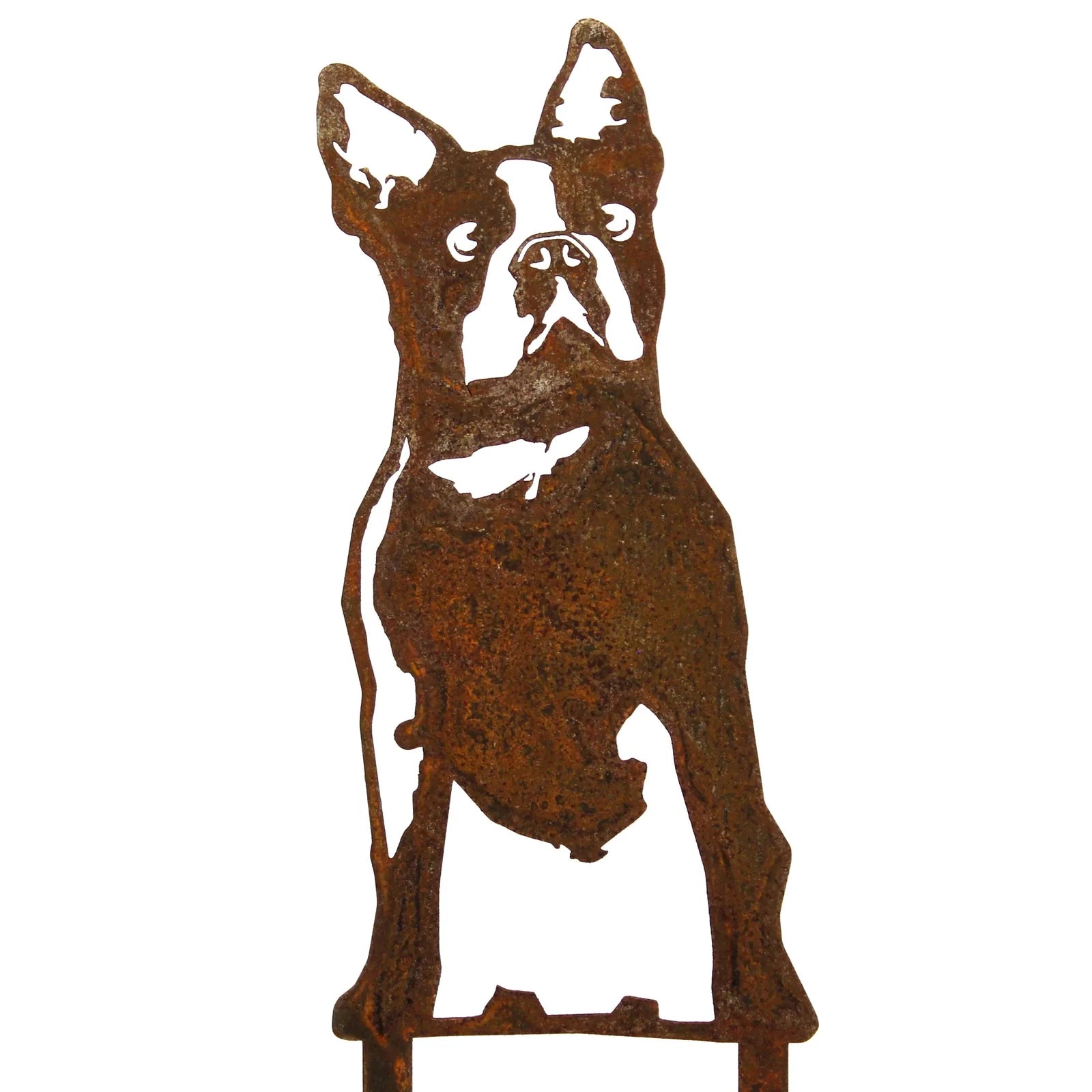 Rusty Corten steel silhouette of a Boston Terrier, showcasing its distinctive features and weathered texture.