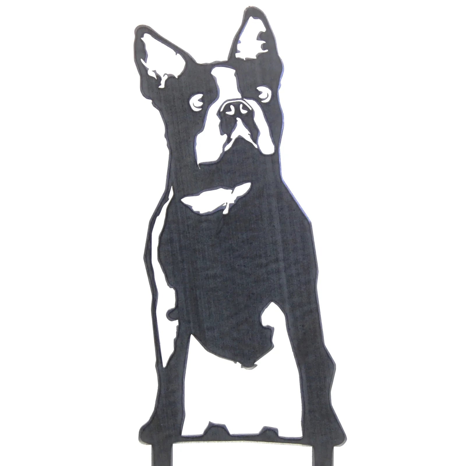 Boston Terrier metal silhouette in a matte black finish, crafted from durable weathering steel for outdoor decor.