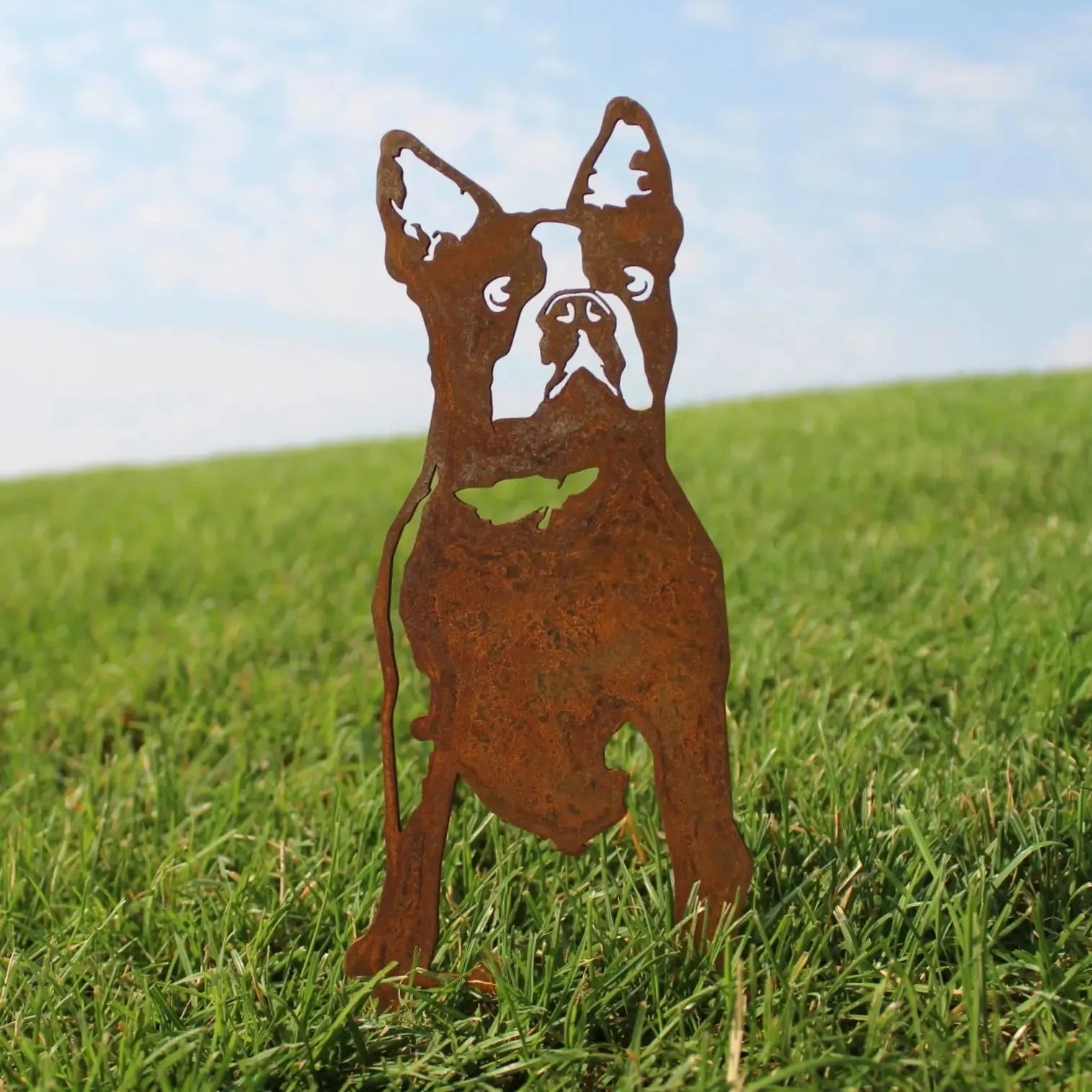 Boston Terrier metal silhouette in rusty Corten steel, standing proudly on green grass with a blue sky backdrop.