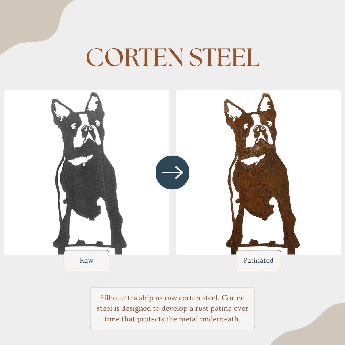 Boston Terrier metal silhouette showcasing raw Corten steel on the left and rust patina on the right.
