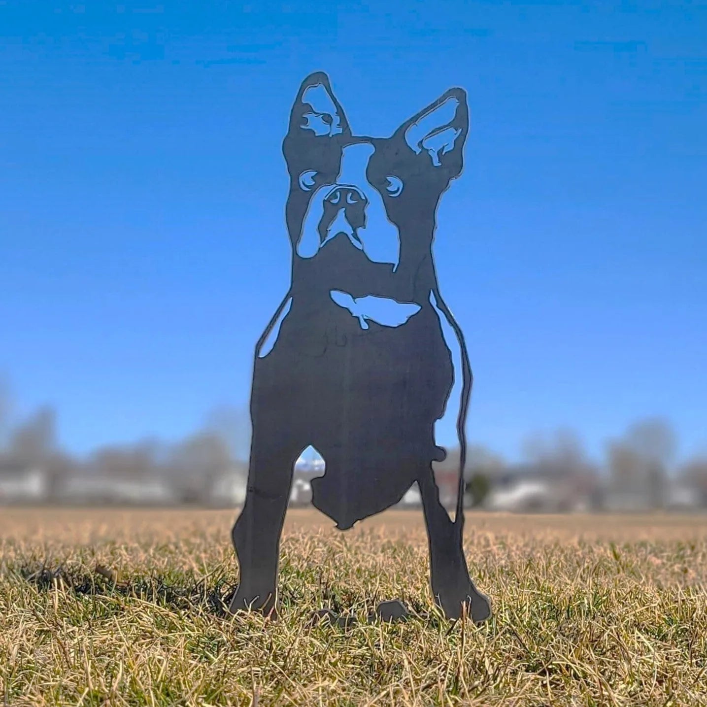 Black metal silhouette of a Boston Terrier standing in grass under a clear blue sky, showcasing dog breed decor.
