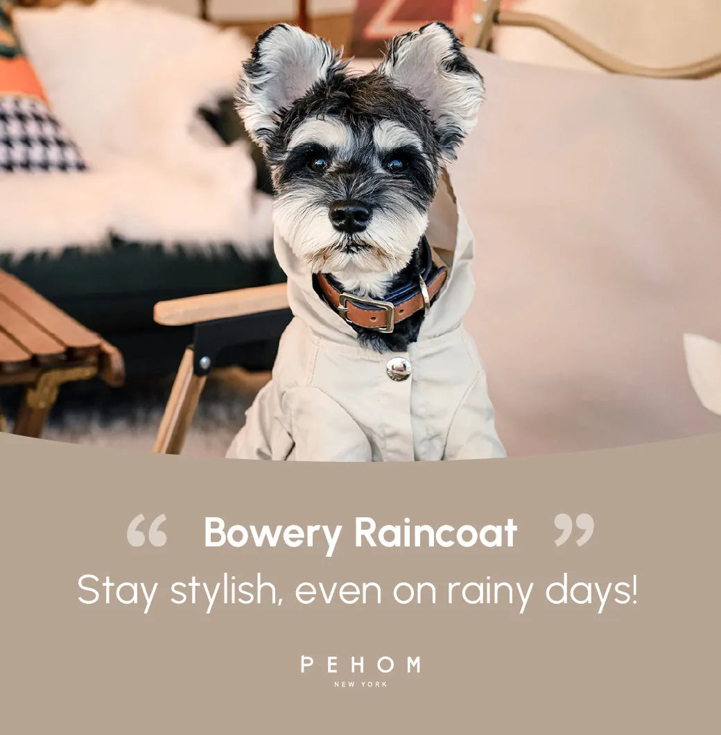 Beige Bowery Raincoat on a small dog, featuring a hood and stylish design, perfect for rainy days.