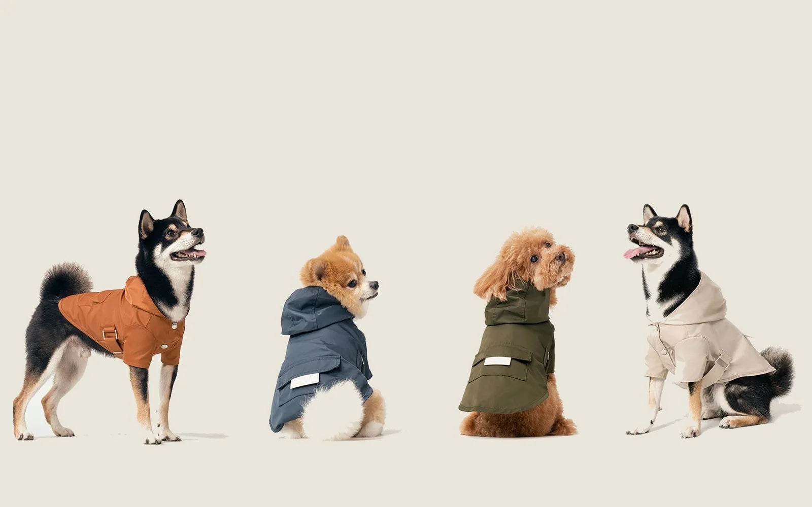 Four dogs in stylish raincoats: brown, blue, green, and beige, showcasing the Bowery Raincoat collection by pehomnyc.