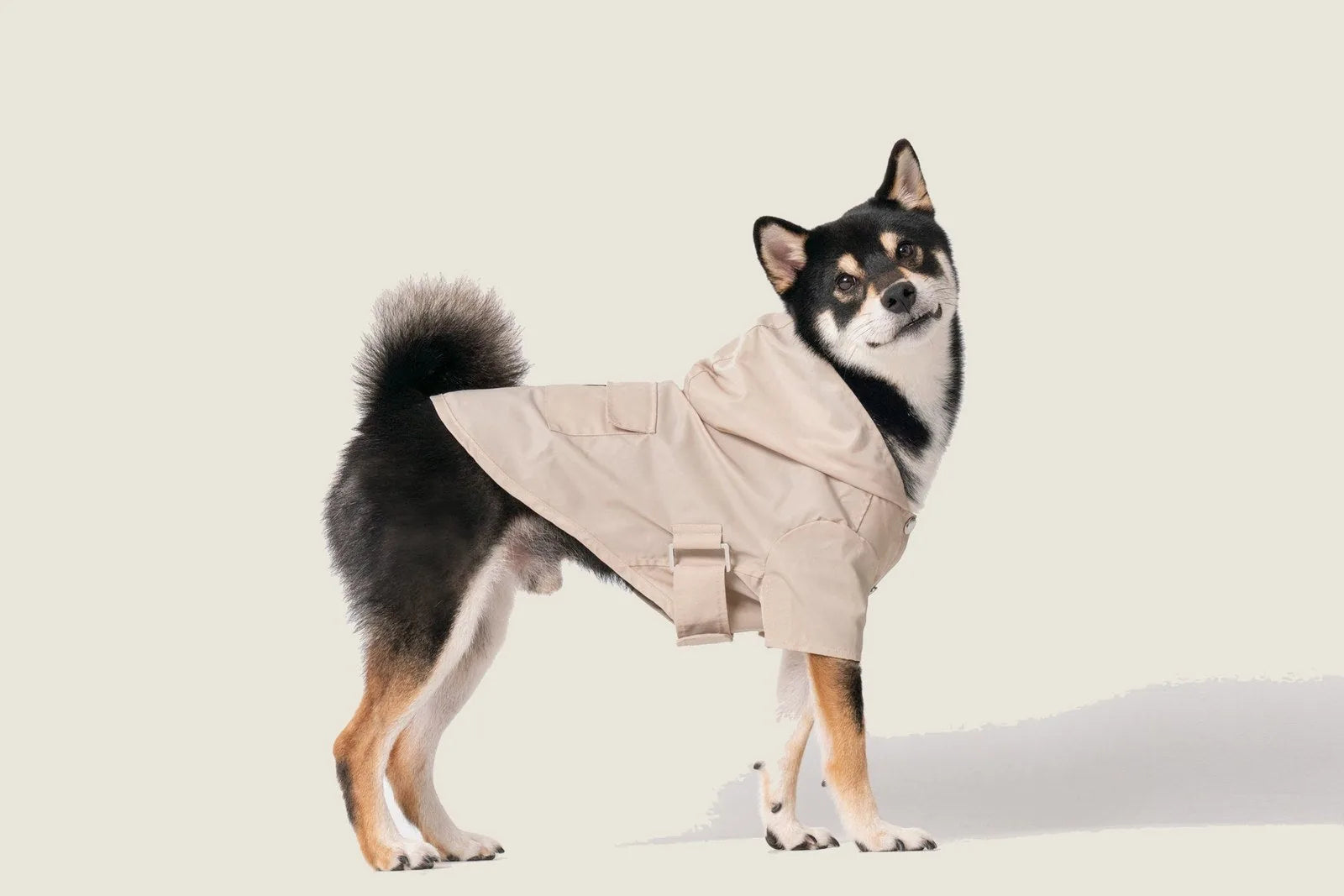 Beige Bowery Raincoat on a dog, featuring adjustable straps, a hood, and logo details.