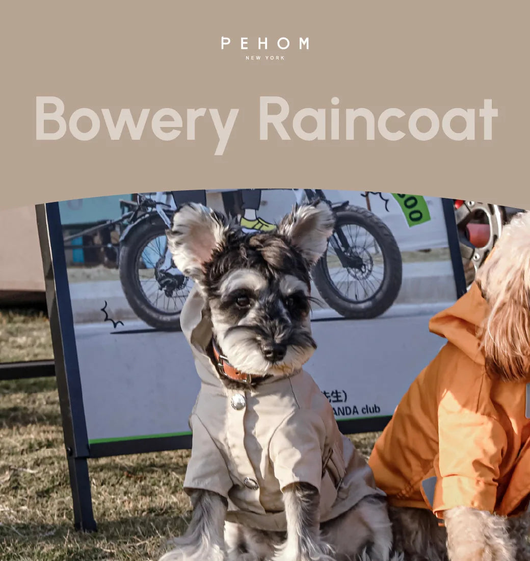 Beige Bowery Raincoat on a dog, featuring a water-repellent design and logo snap closure.