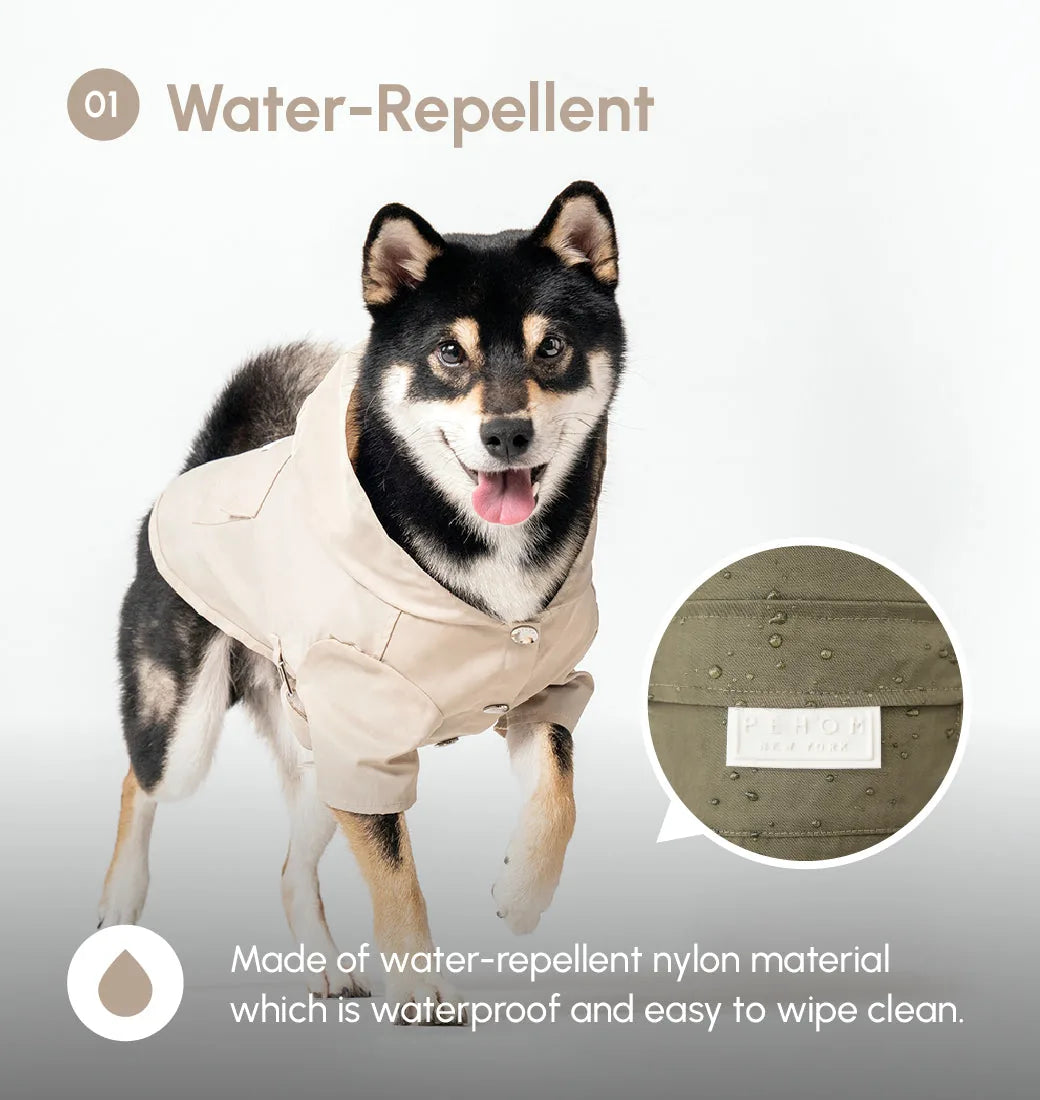 Beige water-repellent raincoat on a dog, featuring a logo snap closure and adjustable straps for a snug fit.
