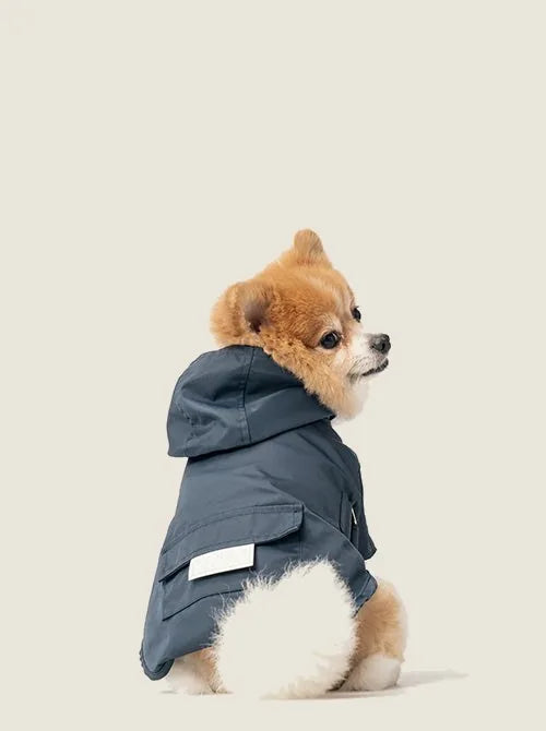 Blue Bowery Raincoat on a small dog, featuring a hood and adjustable velcro for a secure fit.