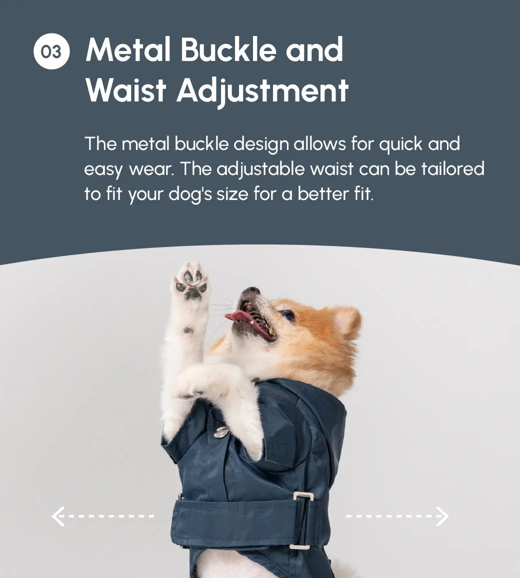 Blue Bowery Raincoat features metal buckle and adjustable waist for a secure, comfortable fit on a small dog.