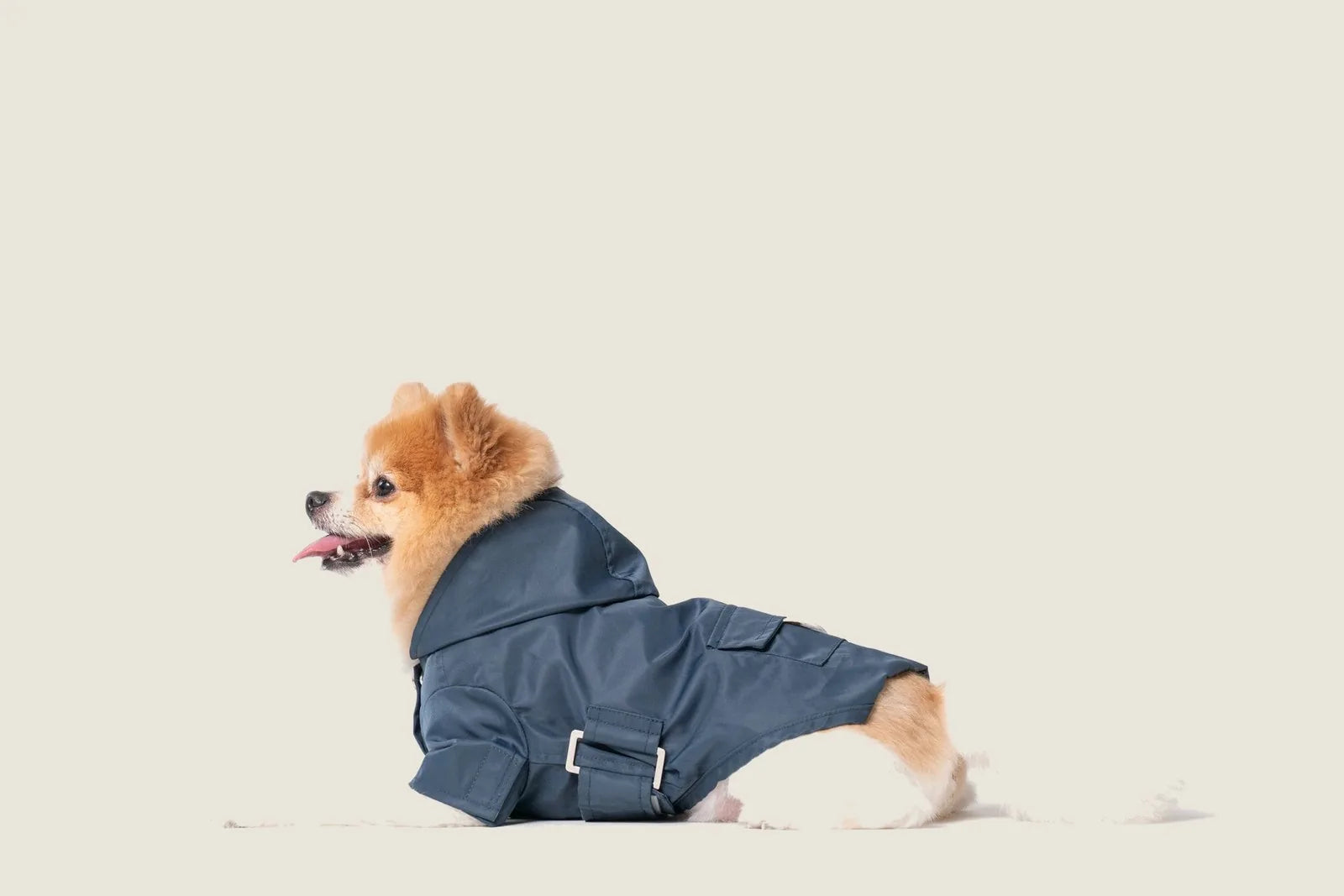 Blue Bowery Raincoat on a fluffy dog, featuring a hood and adjustable strap for a secure fit.