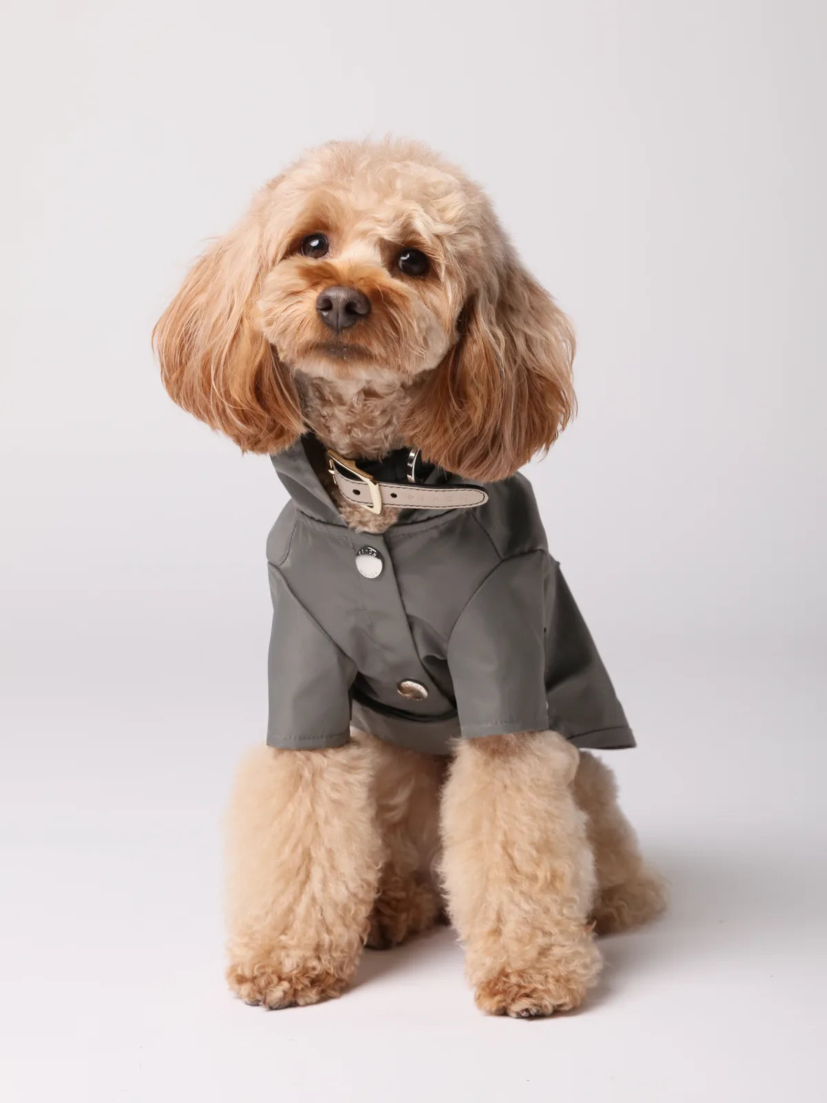 Gray water-repellant dog raincoat with logo snaps, adjustable Velcro, and a back pocket for storage.
